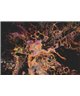 Artist DD120039