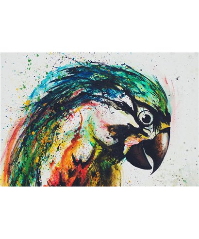 Artist DD120043