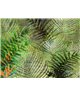 Decogenius Visioniric GRA41061