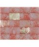 Decogenius Visioniric BAR51041