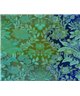 Decogenius Visioniric BAR51061