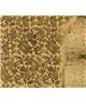 Decogenius Visioniric BAR51111