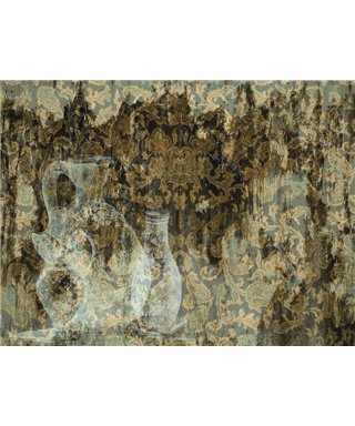 Decogenius Visioniric BAR51141
