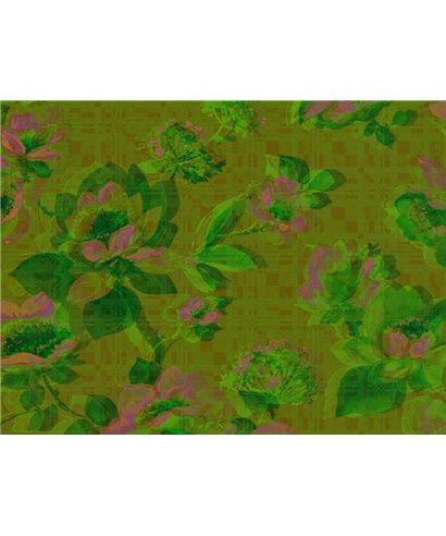 Decogenius Visioniric BAR51171