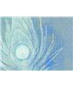 Decogenius Visioniric GRA41051