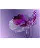 Decogenius Visioniric GRA41091