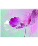 Decogenius Visioniric GRA41101