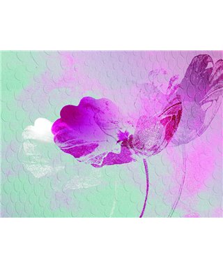 Decogenius Visioniric GRA41101