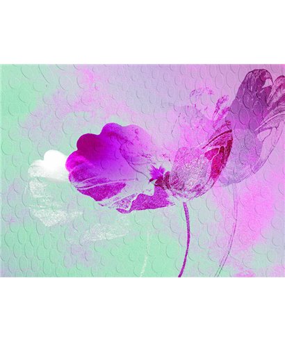 Decogenius Visioniric GRA41101