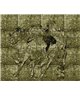 Decogenius Visioniric GRA41141