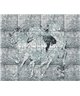 Decogenius Visioniric GRA41161