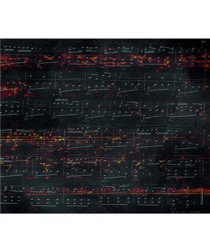Decogenius Visioniric GRA41221