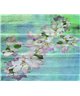 Decogenius Visioniric GRA41231