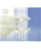 Decogenius Visioniric GRA41291