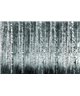 Decogenius Vol.1 SAV11042