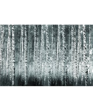 Decogenius Vol.1 SAV11042