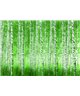 Decogenius Vol.1 SAV11043