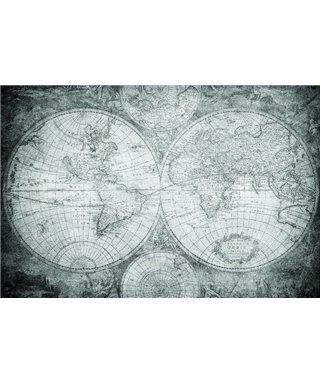 Decogenius Vol.1 SAV11053