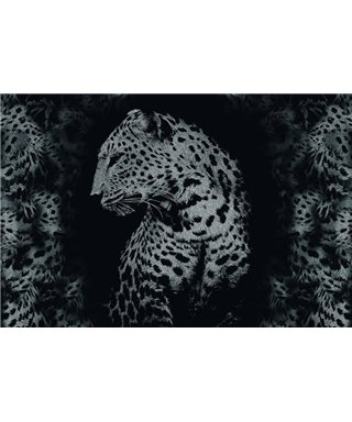 Decogenius Vol.1 SAV11081