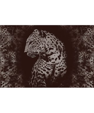 Decogenius Vol.1 SAV11082