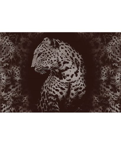 Decogenius Vol.1 SAV11082