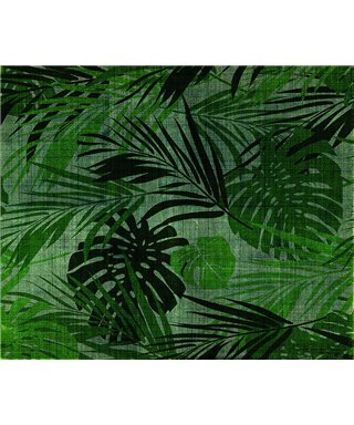 Decogenius Vol.1 SAV11281