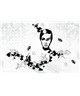 Decogenius Vol.3 ICN61111
