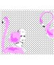 Decogenius Vol.3 ICN61191
