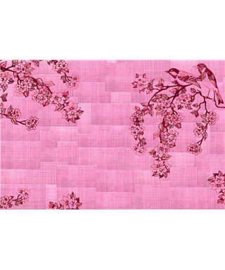 Decogenius Vol.3 ROM51091