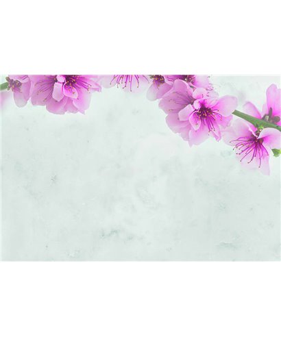 Decogenius Vol.4 LIV81071