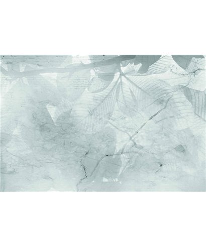 Decogenius Vol.4 LIV81081