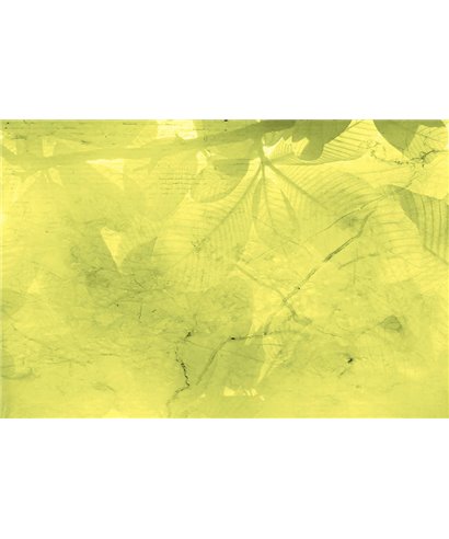 Decogenius Vol.4 LIV81082