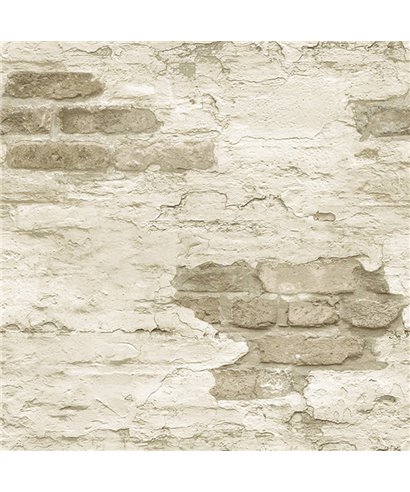 Grunge G45355