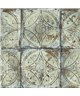 Grunge G45373