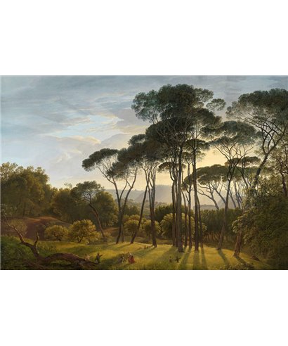 History Of Art DD118818