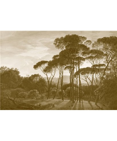 History Of Art DD118819
