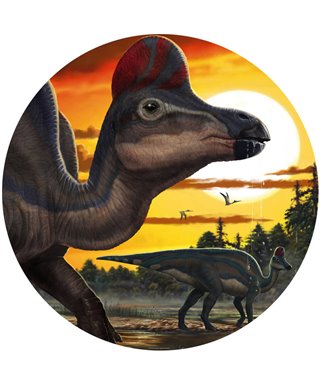 Komar Into Adventure DNG1-002