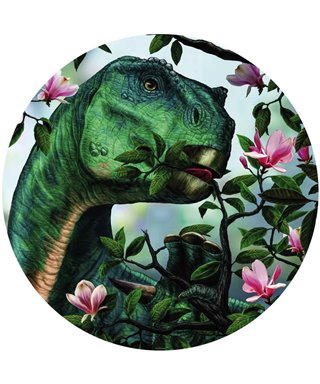 Komar Into Adventure DNG1-003