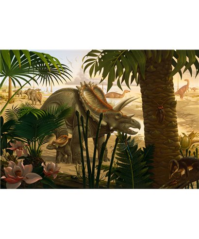 Komar Into Adventure IANGX8-004