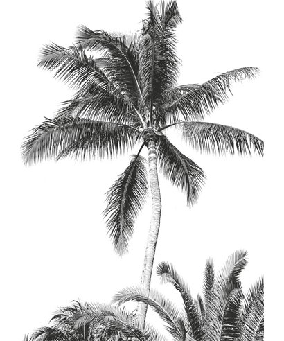 Komar Into Adventure IAX4-0011