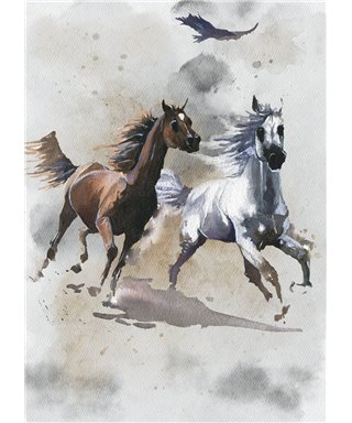 Komar Into Adventure IAX4-0030