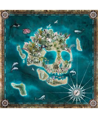 Komar Into Adventure IAX5-0024