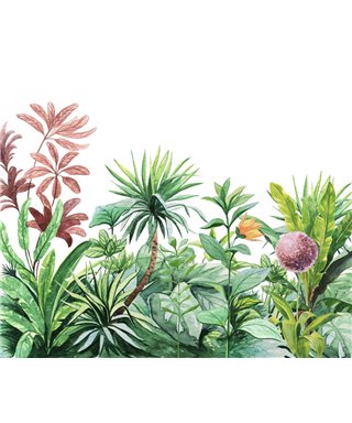 Komar Into Adventure IAX6-0007