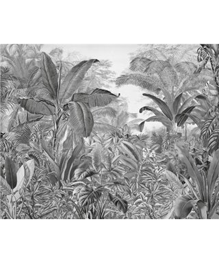 Komar Into Adventure IAX7-0003