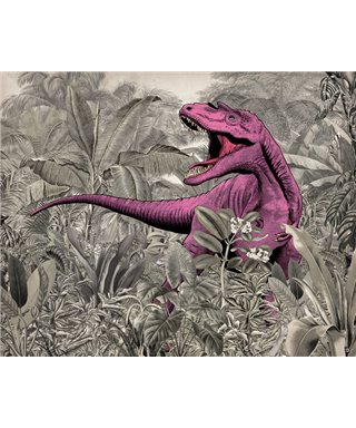 Komar Into Adventure IAX7-0022