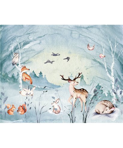 Komar Into Adventure IAX7-0038