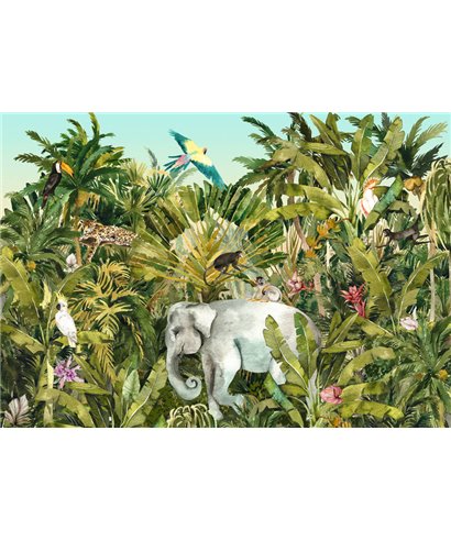 Komar Into Adventure IAX8-0002