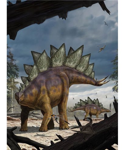 Komar Into Adventure XXL2-530