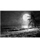 Into The Mood MD253610