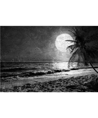 Into The Mood MD253610